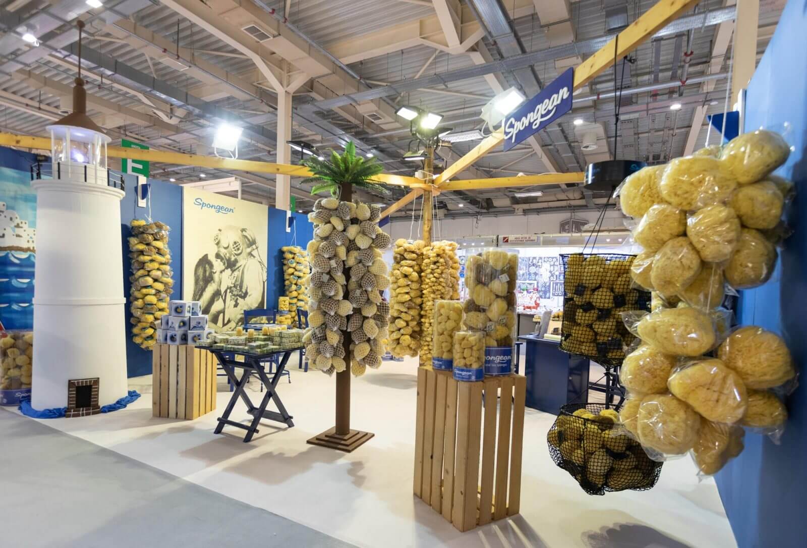 Buy premium quality natural sea sponges online Spongean