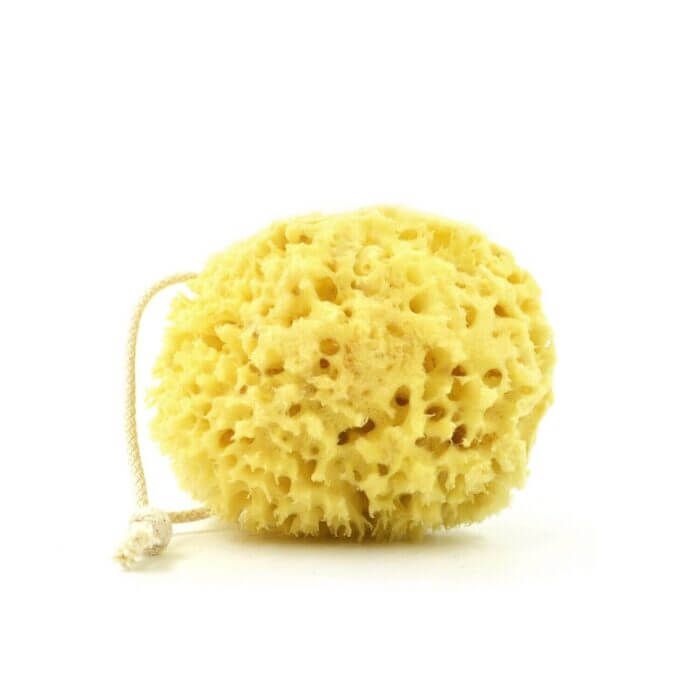 Honeycomb sea sponge (in 3D gift box) For the body