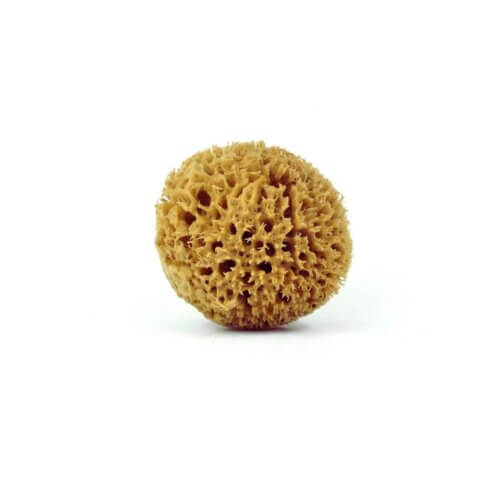 Honeycomb natural sea sponge for babies For the baby