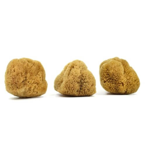 Caribbean Silk natural sponges for the neck (3-pack) For the face & neck