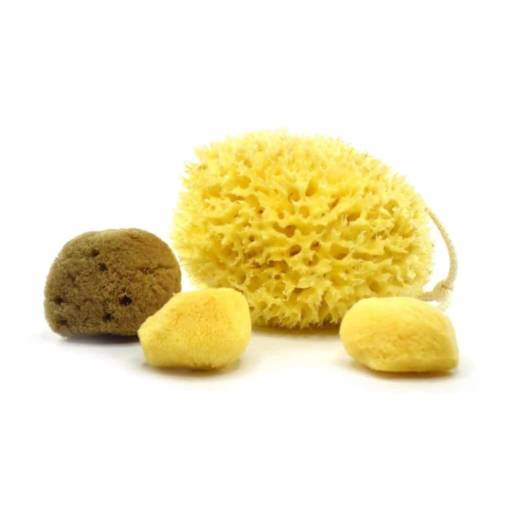 Sea sponges - Natural sea sponge combos
