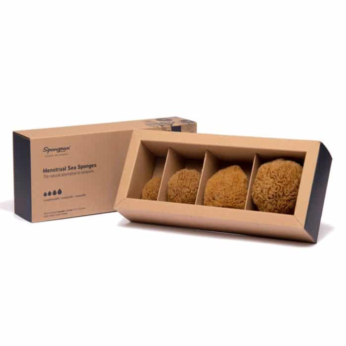 Menstrual sea sponges in paper-craft box (4-pack) For the ladies - Menstrual sponges