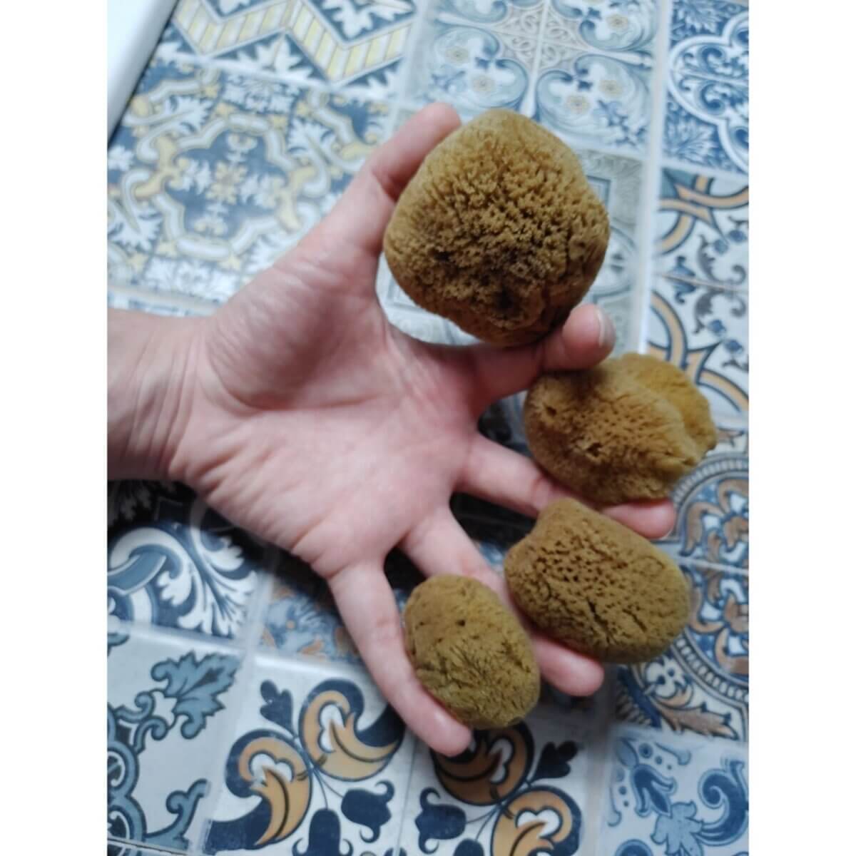 Caribbean silk menstrual sponges (4pack) Spongean