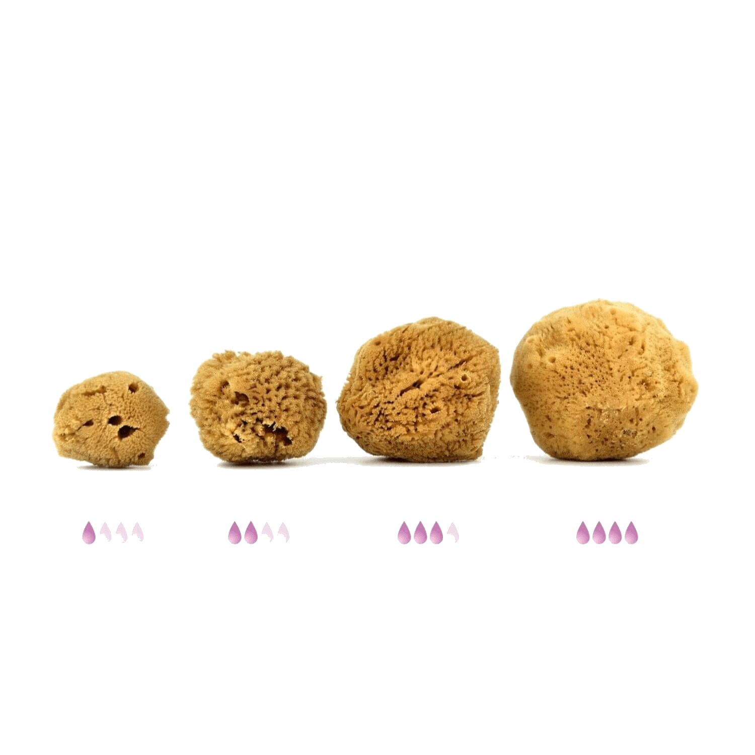 Caribbean silk natural menstrual sea sponges by Spongean