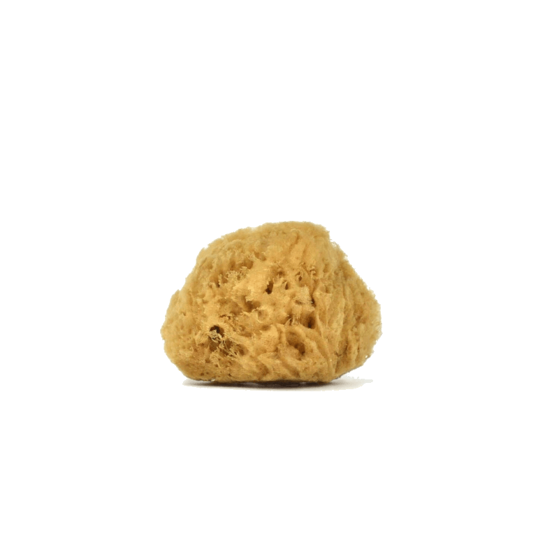 Grass natural baby care sponge (unbleached)