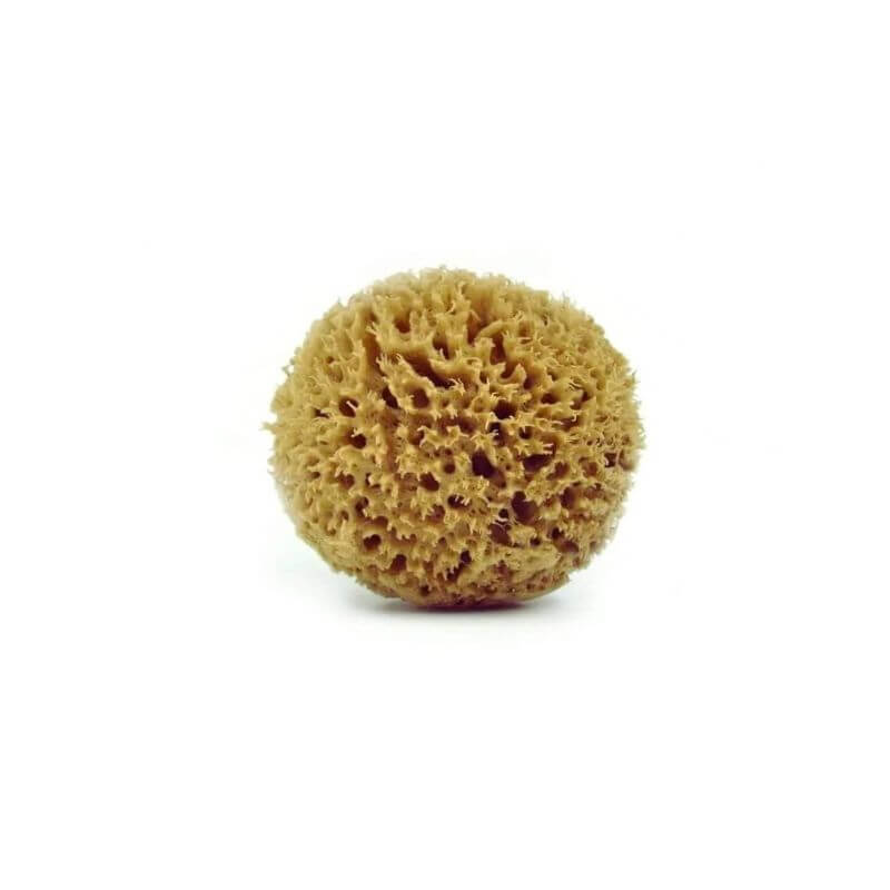 Natural baby care sponges