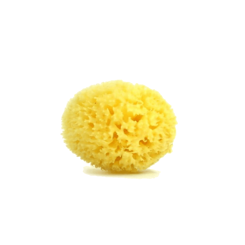 Honeycombnatural baby care sponge (bleached)