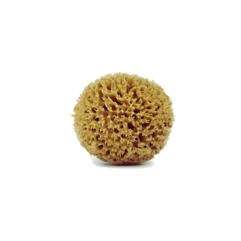 Honeycombnatural baby care sponge (unbleached)