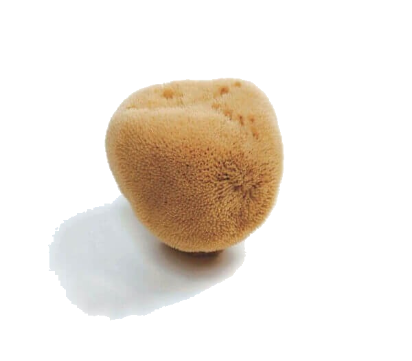 Mediterranean fine silk face care sea sponge by Spongean