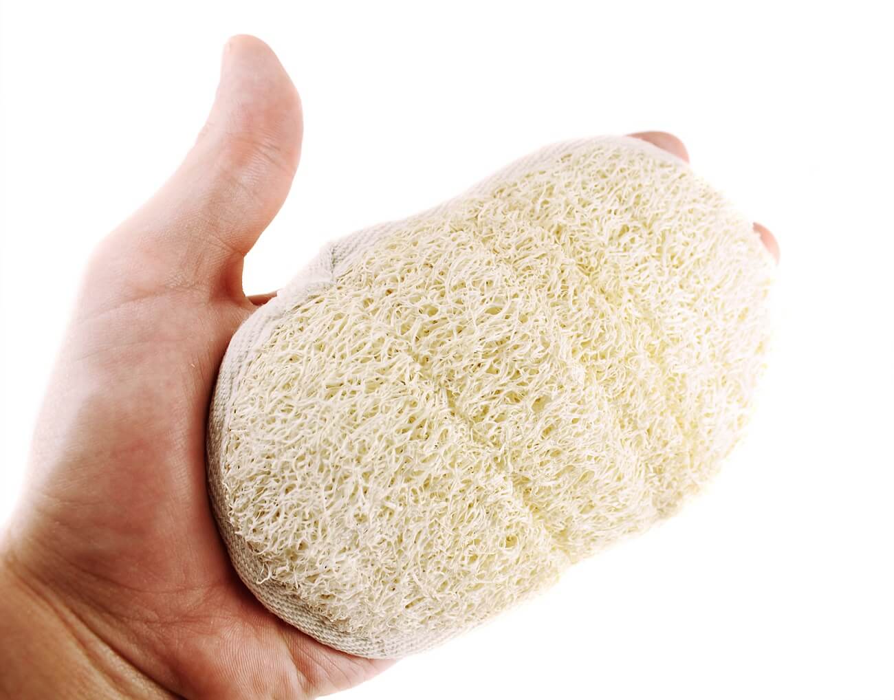 Natural loofah sponges