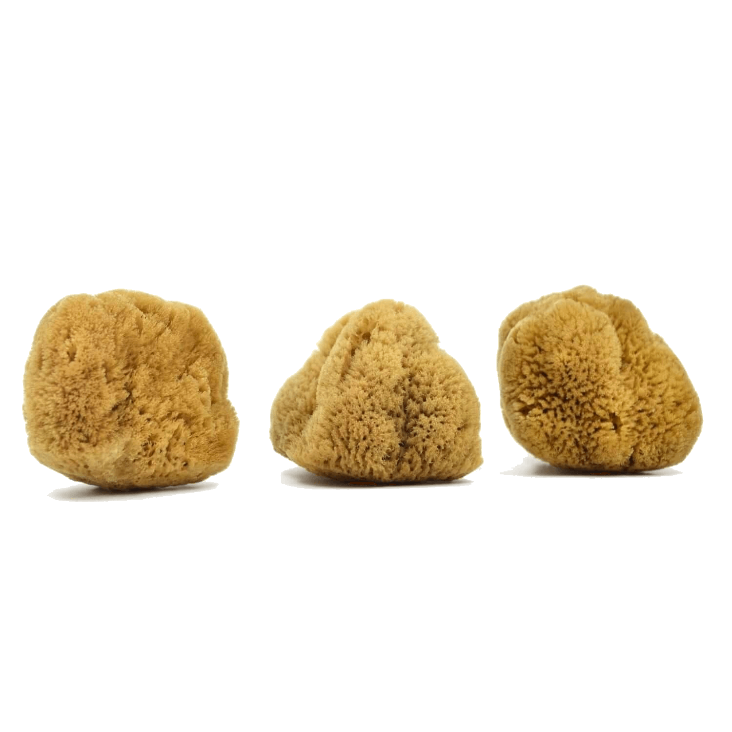 Caribbean silk face care sponge by Spongean - Unbleached