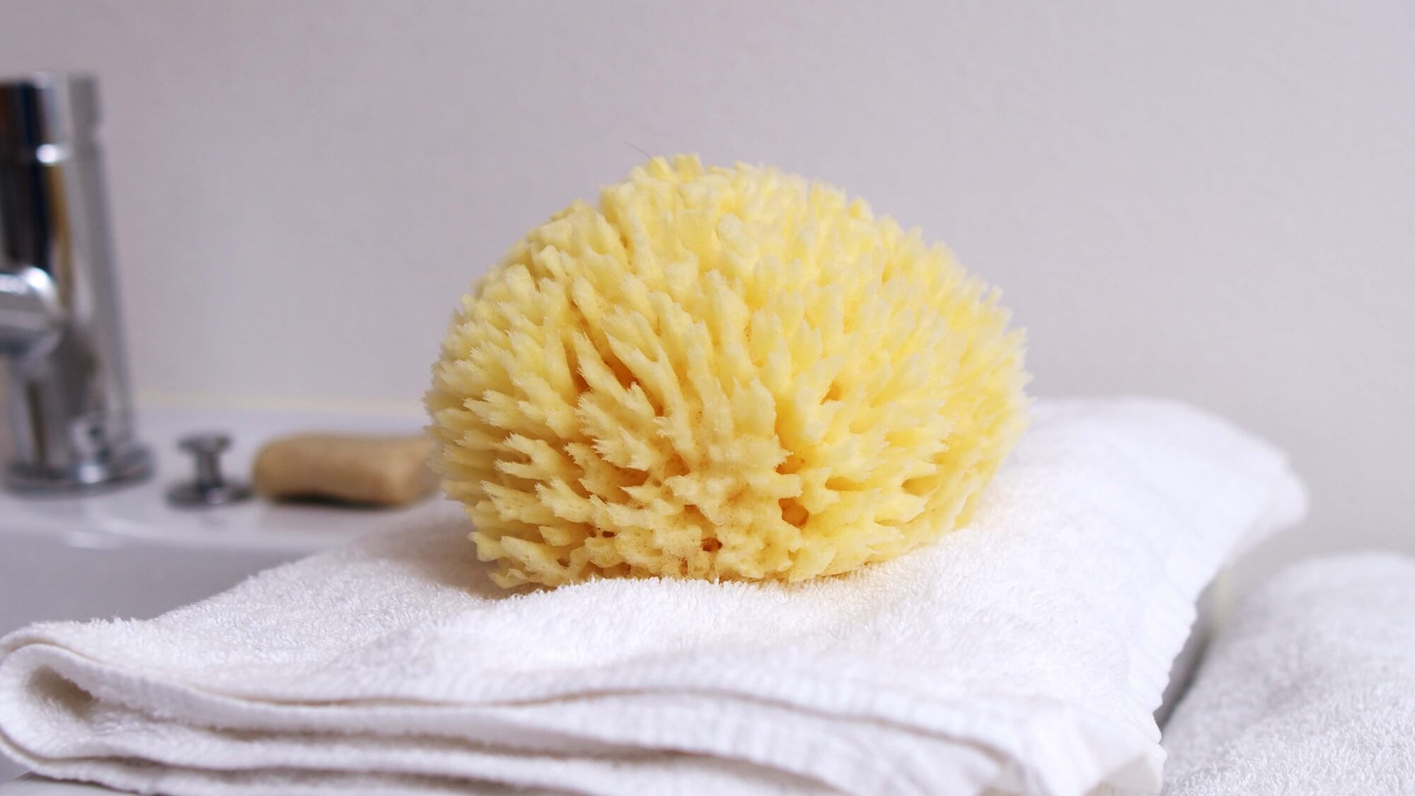 Natural bath & shower sponges
