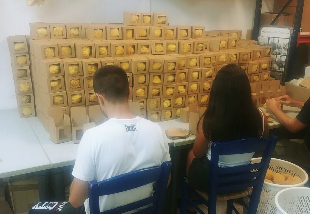 Sorting & Packaging sea sponges at Spongean
