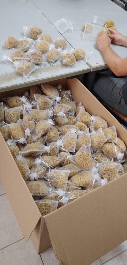 Sorting & Packaging sea sponges at Spongean